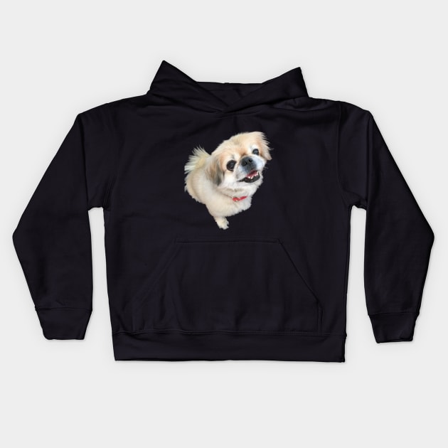 Lucy fur Real - adorable pekingese dog Kids Hoodie by tziggles